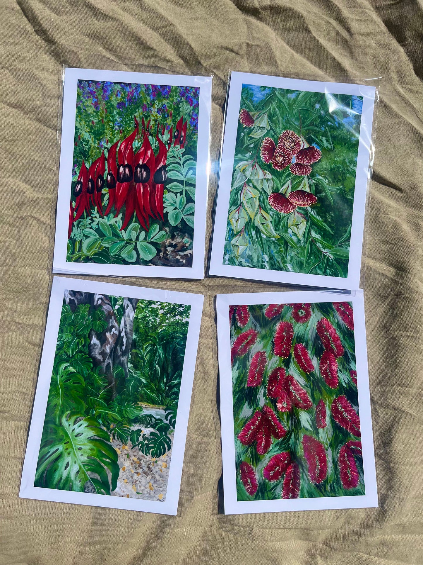Sturt Desert Peas, Adelaide Botanic Gardens