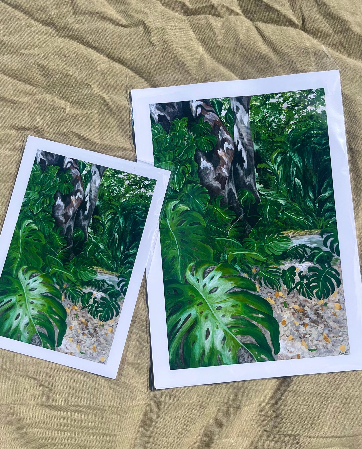 Wander Through The Adelaide Botanic Garden