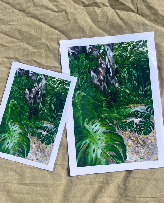 Wander Through The Adelaide Botanic Garden