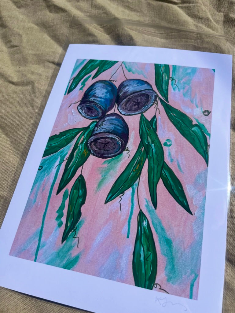Pink Gumnuts