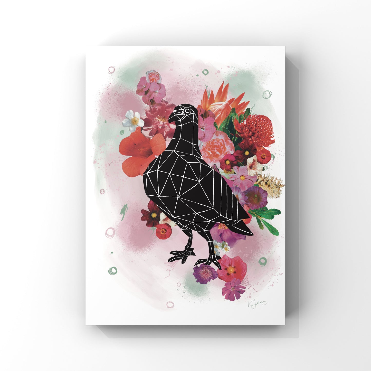 Rundle Mall Pigeon in Bloom