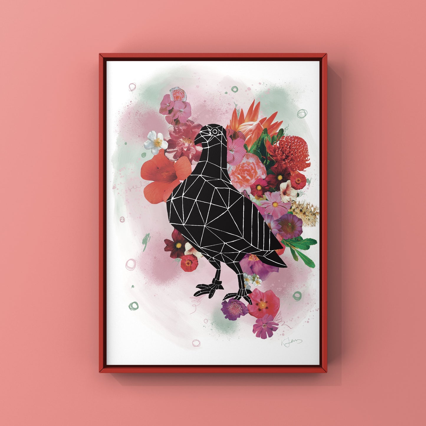 Rundle Mall Pigeon in Bloom