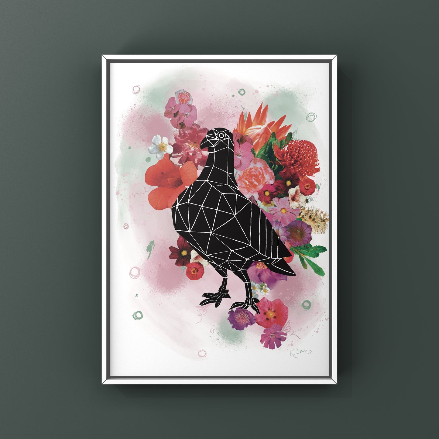 Rundle Mall Pigeon in Bloom