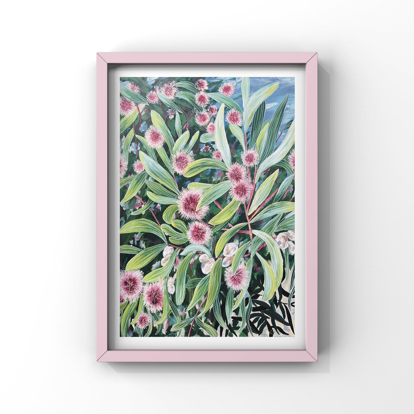 Hakea in Bloom