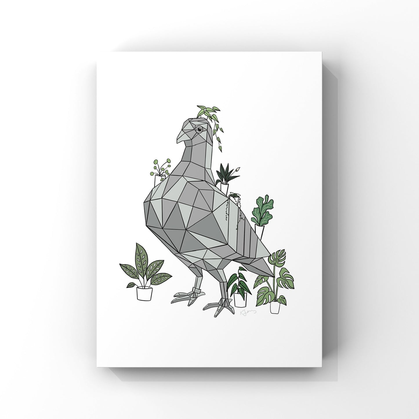 Pigeon & The Houseplants