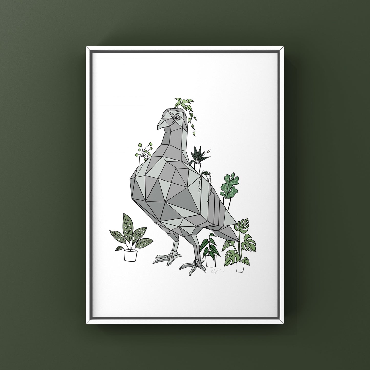 Pigeon & The Houseplants