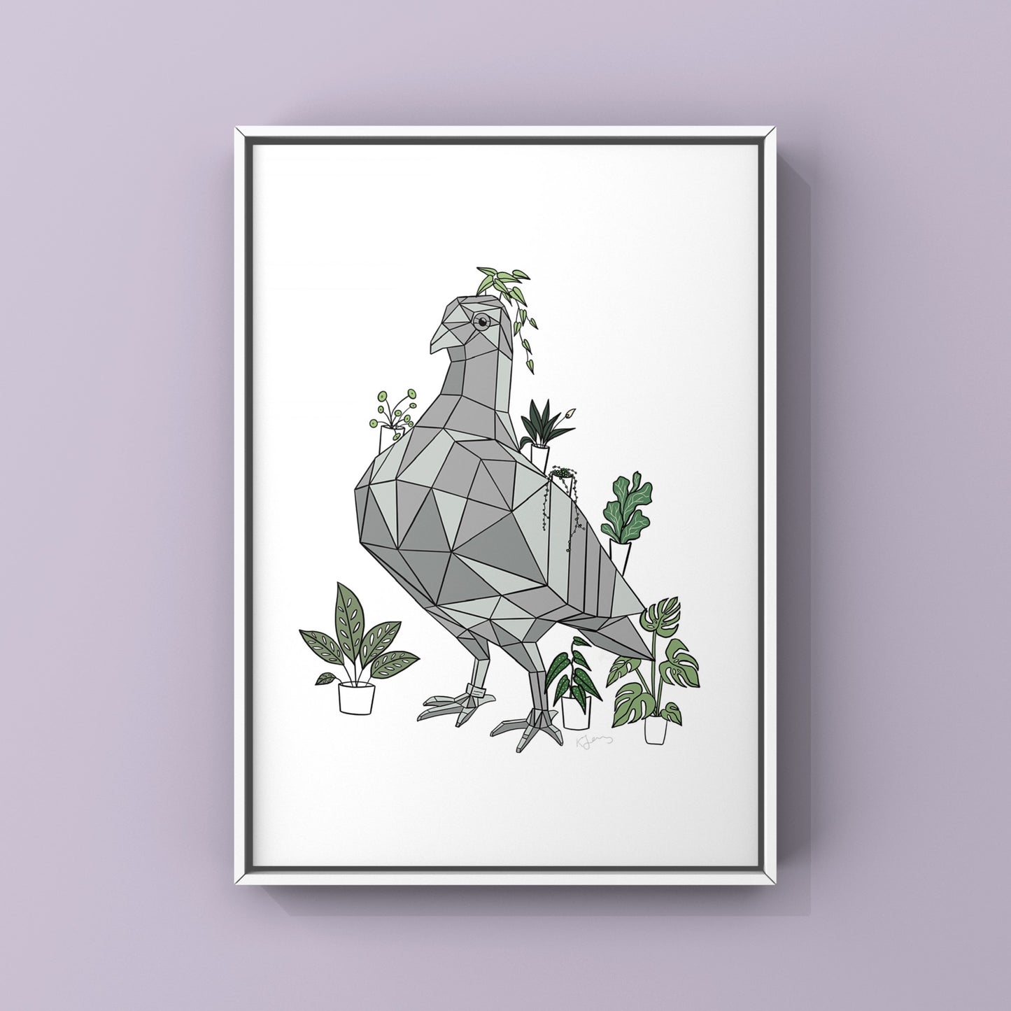 Pigeon & The Houseplants