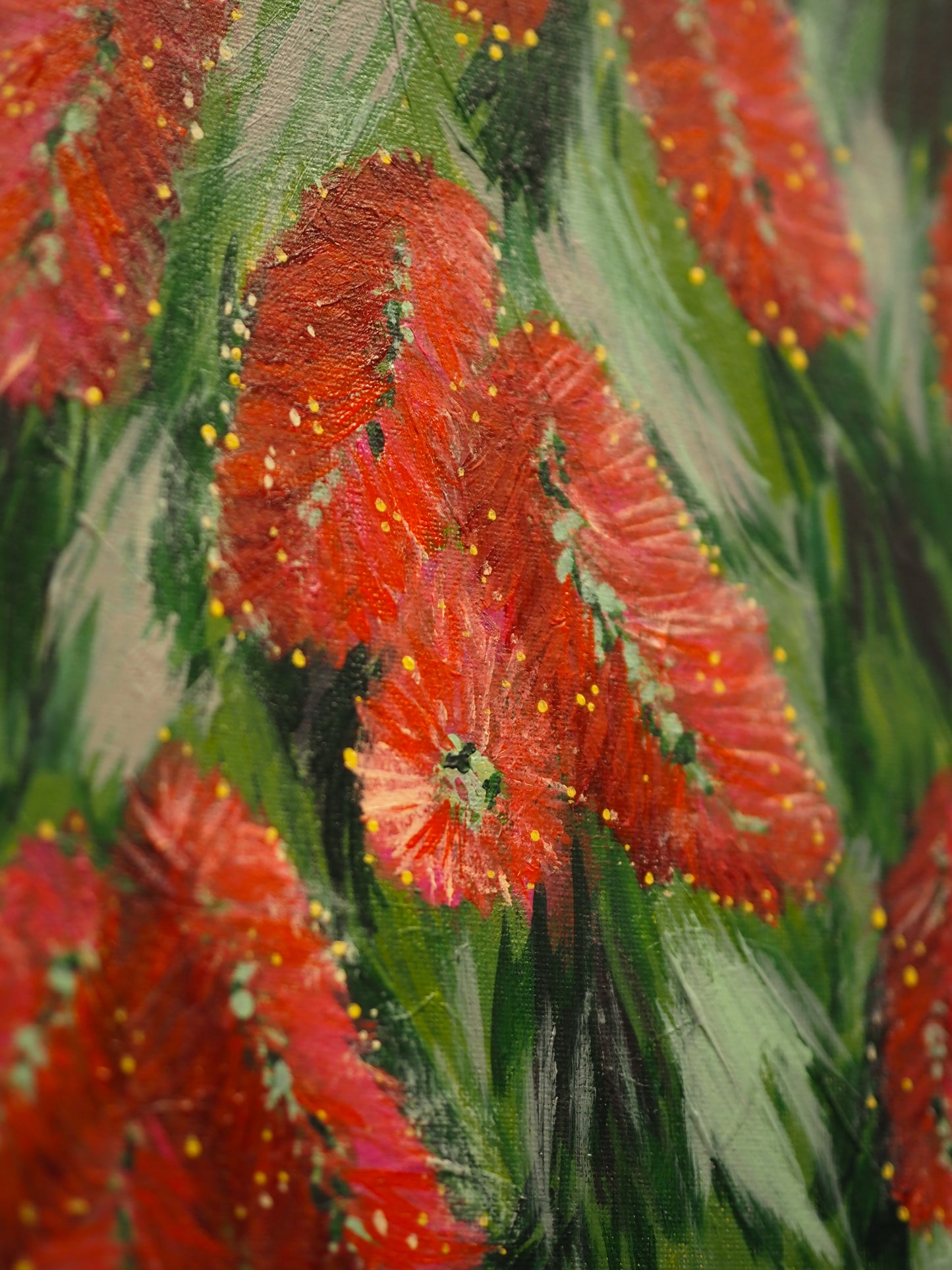 Bottle Brush in Bloom