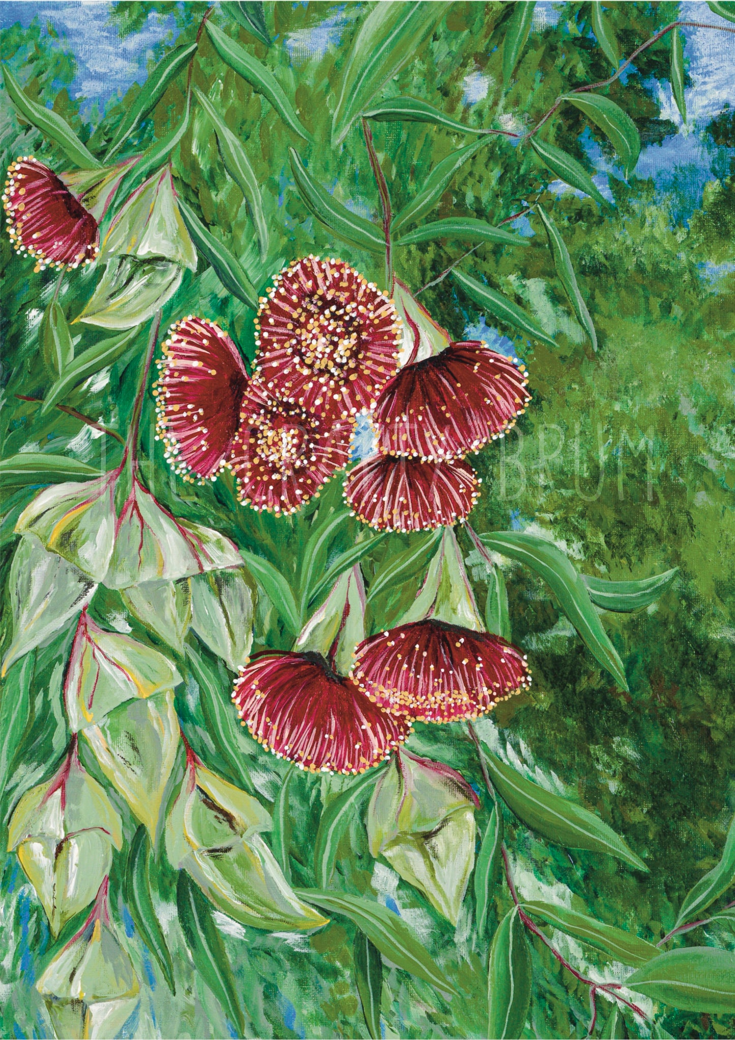 Gumnut Blossom Card