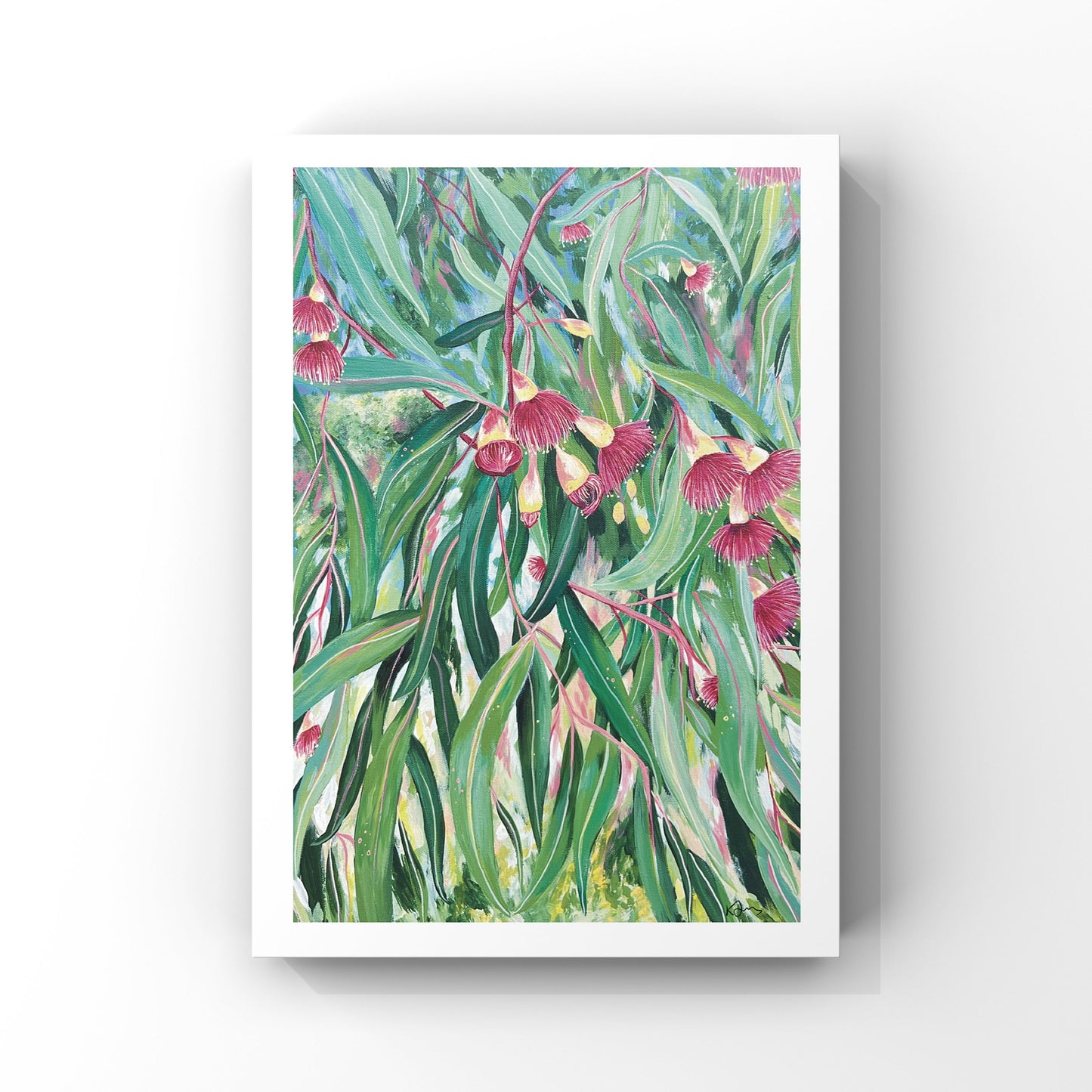 Gumtree Blossoms