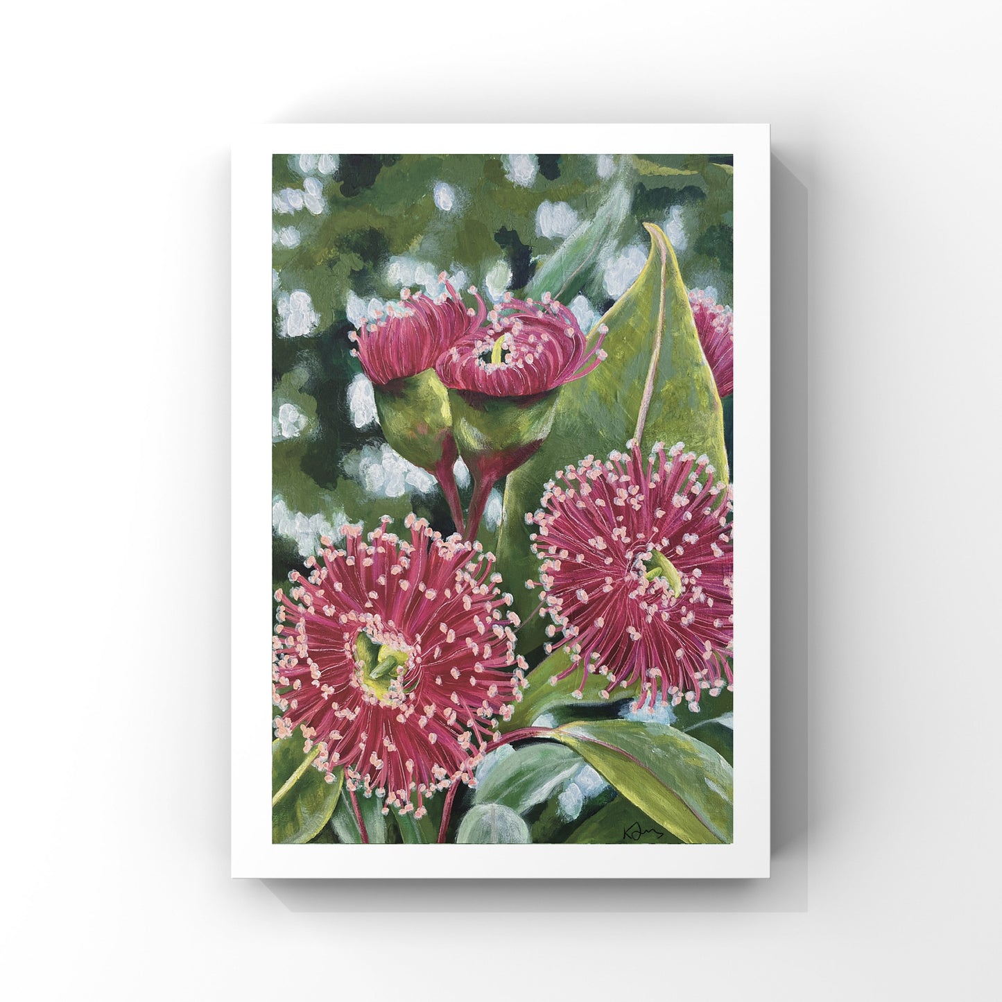 Pink Blossoms