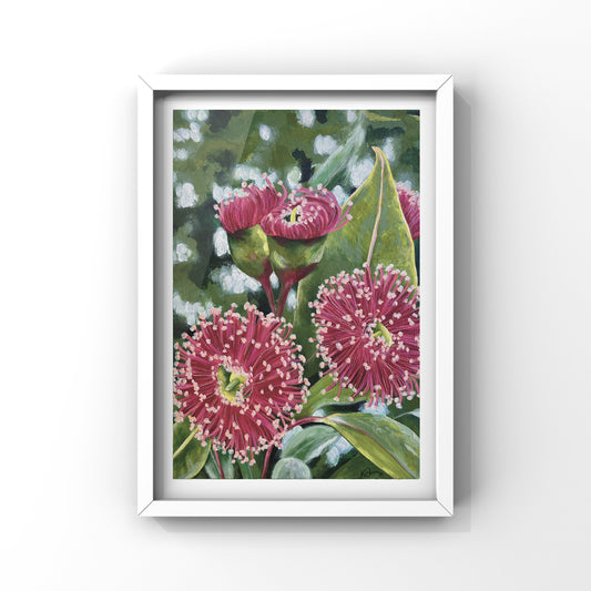 Pink Blossoms