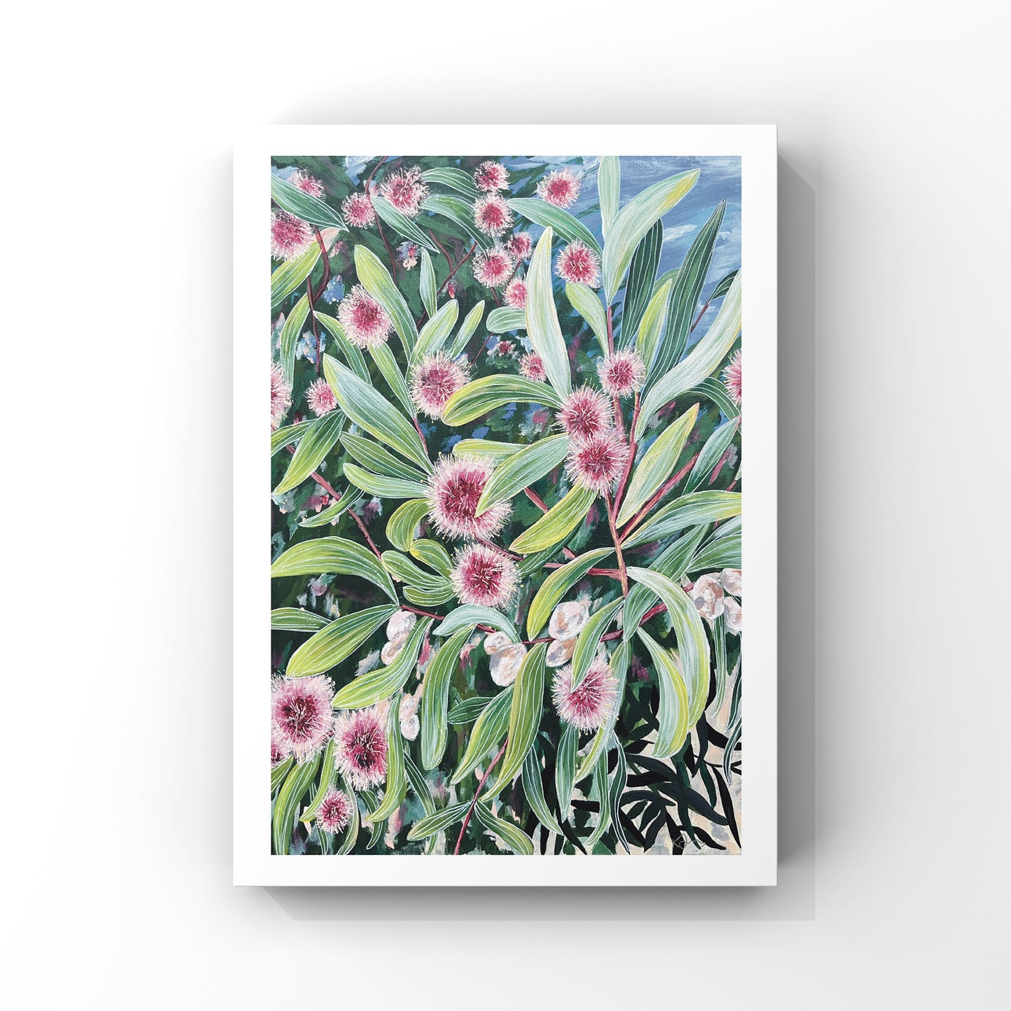 Hakea in Bloom