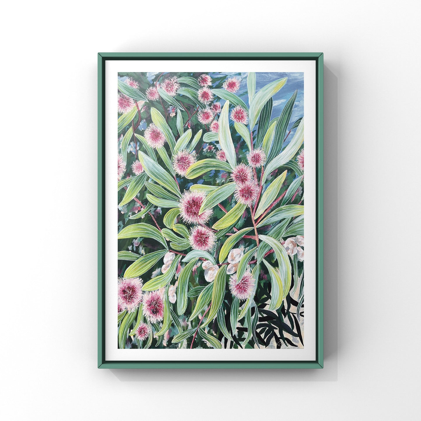 Hakea in Bloom