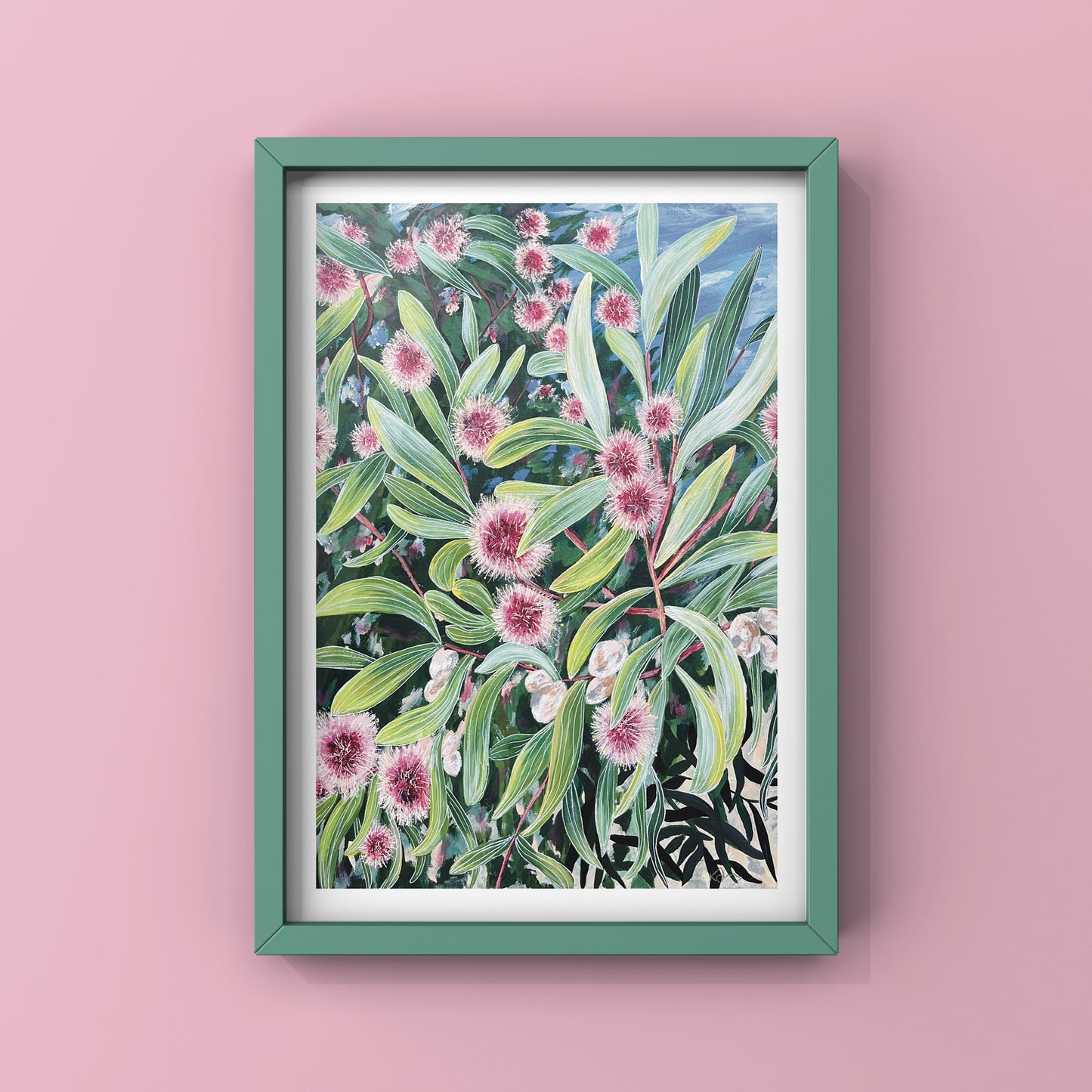 Hakea in Bloom