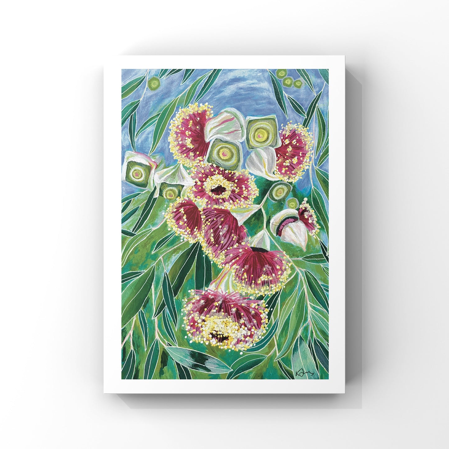 Gumnuts in Bloom