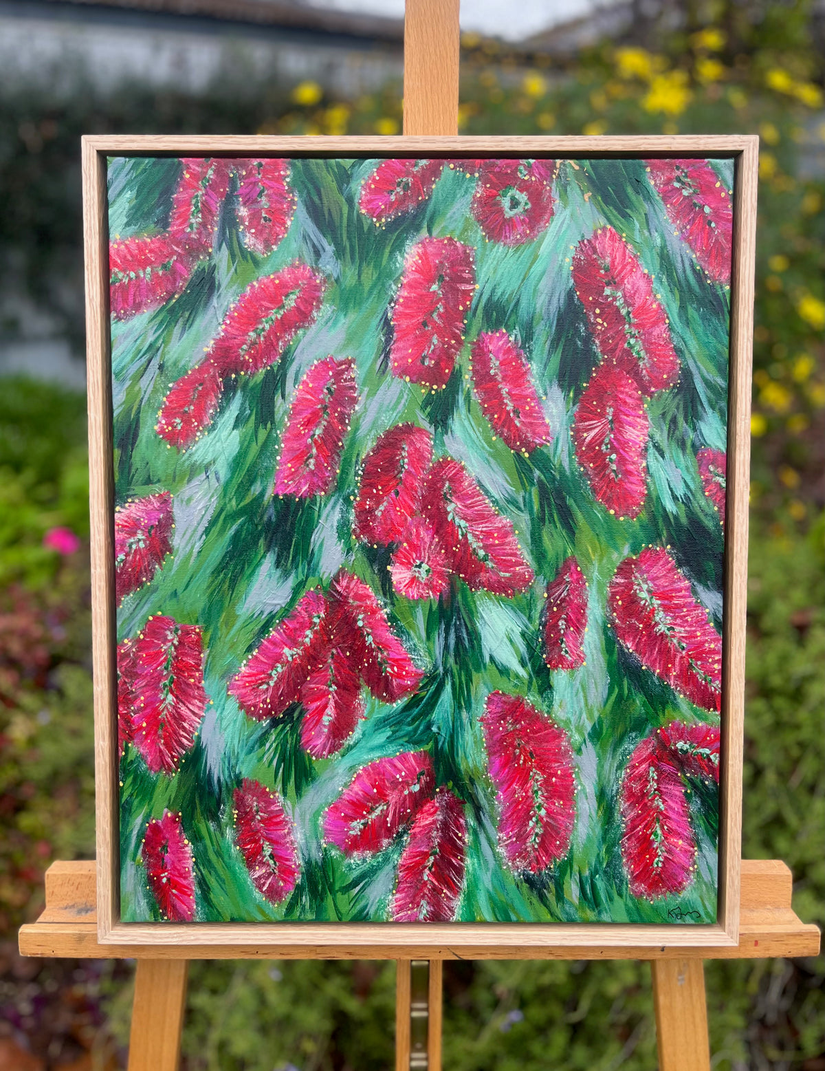Bottle Brush in Bloom