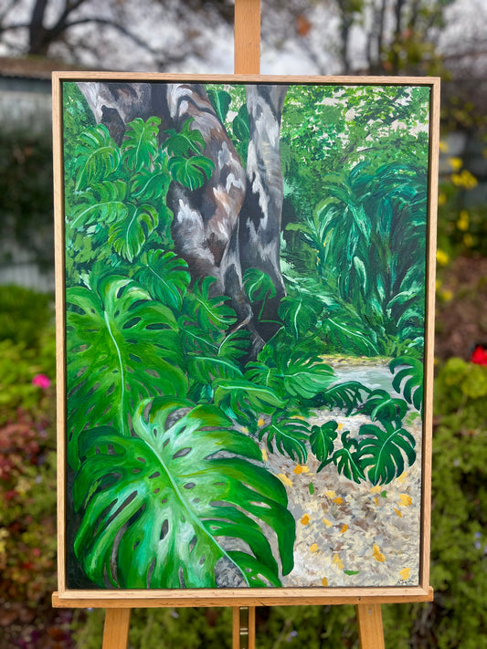 Wander Through The Adelaide Botanic Garden