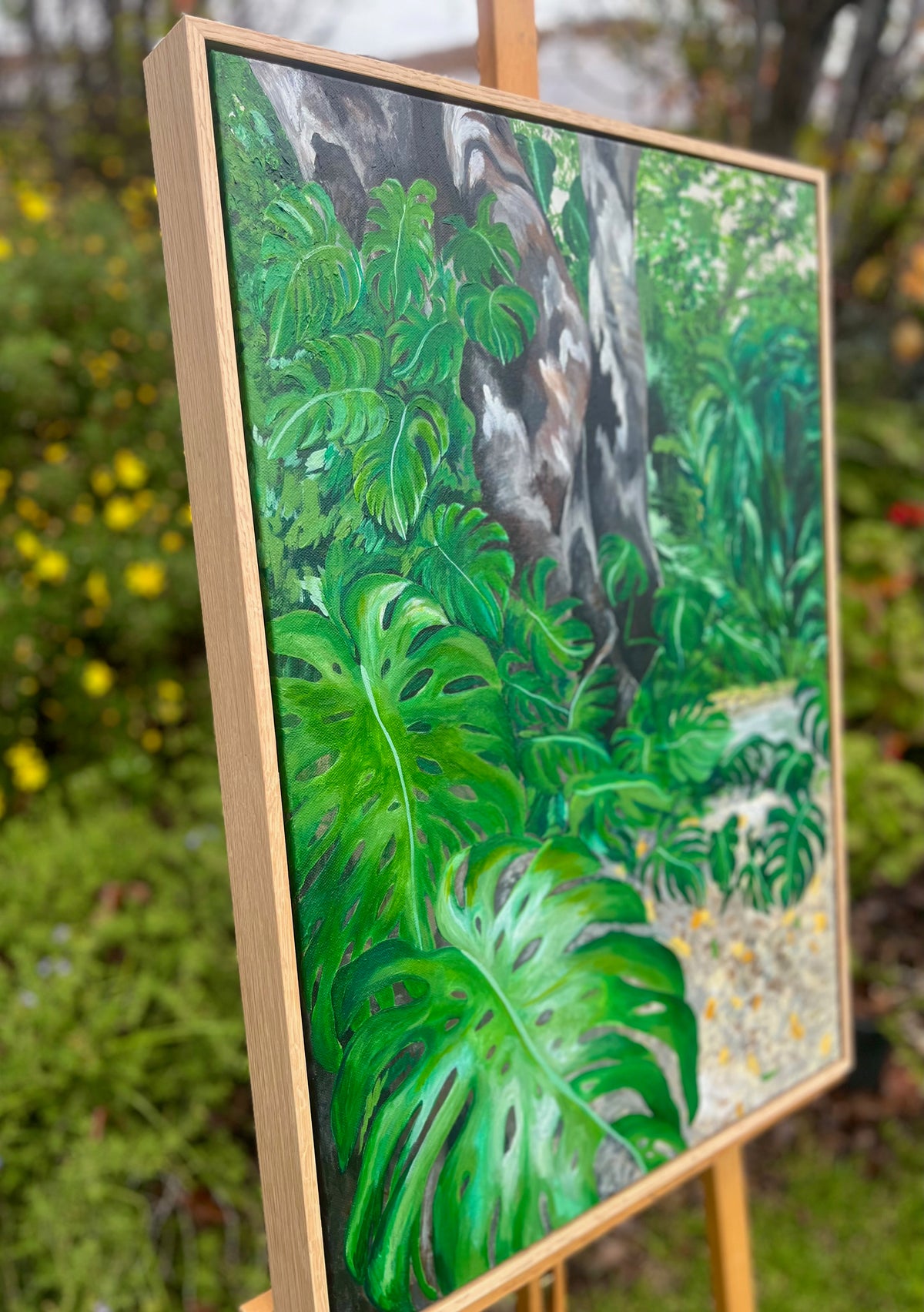 Wander Through The Adelaide Botanic Garden