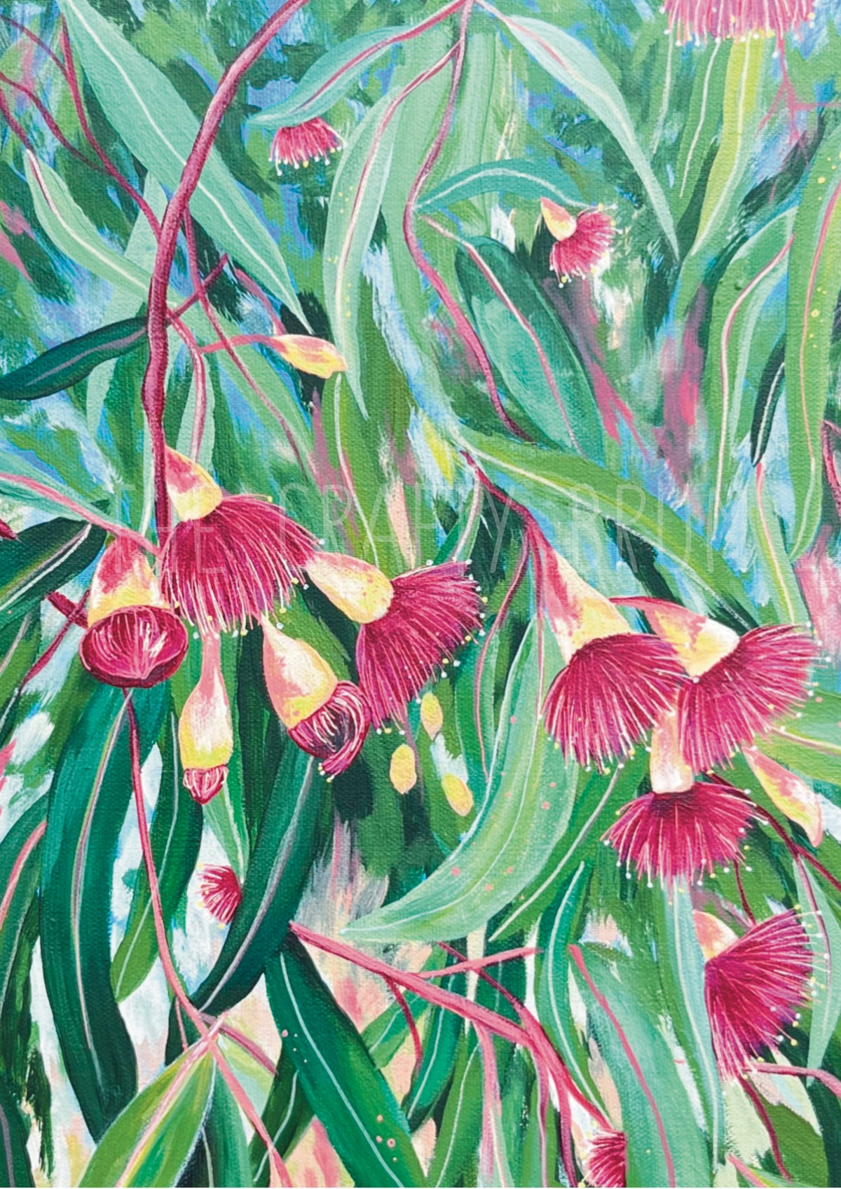 Gumtree Blossoms Card